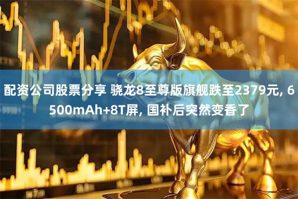 配资公司股票分享 骁龙8至尊版旗舰跌至2379元, 6500mAh+8T屏, 国补后突然变香了