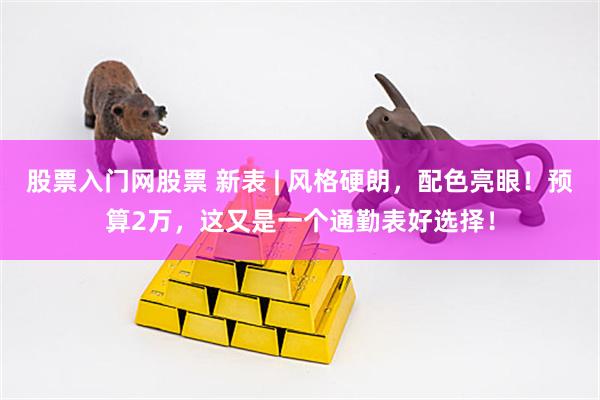 股票入门网股票 新表 | 风格硬朗，配色亮眼！预算2万，这又是一个通勤表好选择！